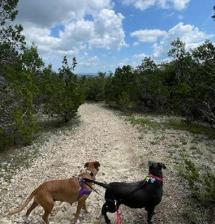 Image of Greenway Trails at Bee Cave park in Austin, Minnesota, United States Image of Greenway Trails at Bee Cave park in Austin, Minnesota, United States