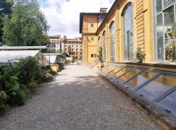 Image of Orto Botanico "Giardino dei Semplici" - Università di Firenze park in Florence, Toscana, Italy Image of Orto Botanico "Giardino dei Semplici" - Università di Firenze park in florence, toscana, italy
