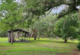 Image of Silver Lake Recreation Area park in Tallahassee, Florida, United States Image of Silver Lake Recreation Area park in tallahassee, florida, united-states