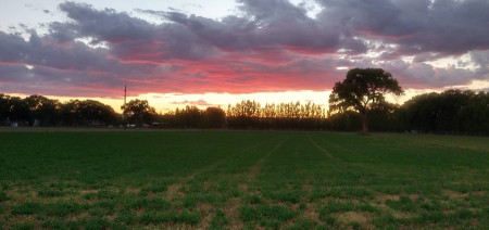 Image of Pajarito Open Space park in Albuquerque, New Mexico, United States Image of Pajarito Open Space park in albuquerque, new-mexico, united-states