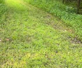 Image of Stream Valley Park and Trails park in Ashburn, Virginia, United States Image of Stream Valley Park and Trails park in ashburn, virginia, united-states