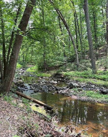 Image of Wolf Trap Loop Trail park in Vienna, Virginia, United States Image of Wolf Trap Loop Trail park in vienna, virginia, united-states