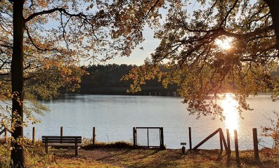Image of Haltern-Borkenberge park in Ludinghausen, Nordrhein-Westfalen, Germany Image of Haltern-Borkenberge park in ludinghausen, nordrhein-westfalen, germany