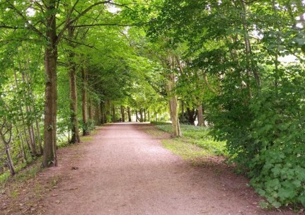 Image of Radwanderweg Kreisbahnstraße / Schleswig-Süderbrarup park in Schleswig, Schleswig-Holstein, Germany Image of Radwanderweg Kreisbahnstraße / Schleswig-Süderbrarup park in schleswig, schleswig-holstein, germany
