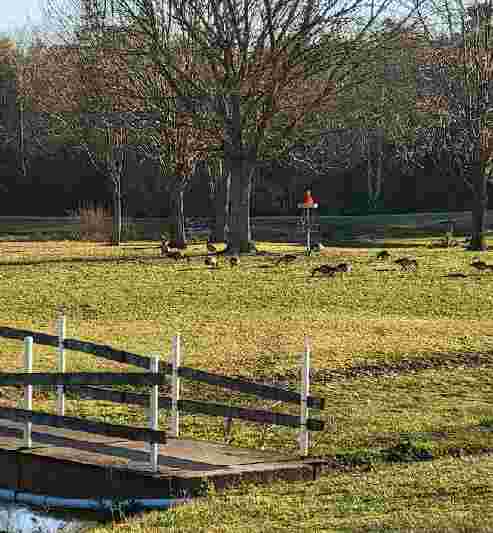Image of Pixie’s Memorial Dog Park of Hiller Park park in Biloxi, Mississippi, United States Image of Pixie’s Memorial Dog Park of Hiller Park park in biloxi, mississippi, united-states