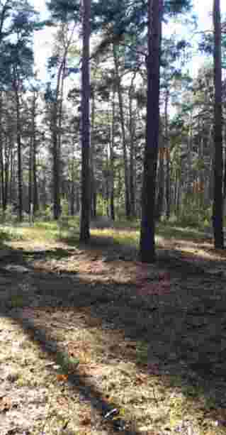 Image of Campingplatz D 71 Naturcamping Teupitz e.V. park in Teupitz, Brandenburg, Germany Image of Campingplatz D 71 Naturcamping Teupitz e.V. park in teupitz, brandenburg, germany