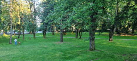 Image of Traboulay PoCo Trail park in Port Coquitlam, British Columbia, Canada Image of Traboulay PoCo Trail park in port-coquitlam, british-columbia, canada