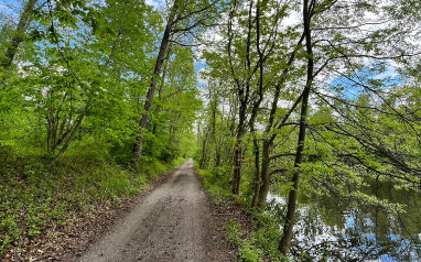 Image of Delaware & Raritan Canal State Park Trail - Alexander Rd park in Princeton, Illinois, United States Image of Delaware & Raritan Canal State Park Trail - Alexander Rd park in princeton, illinois, united-states