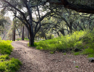 Image of Big Dalton Wilderness Area park in Glendora, California, United States Image of Big Dalton Wilderness Area park in glendora, california, united-states