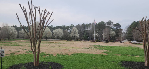 Image of Patriot Park park in Fayetteville, Arkansas, United States Image of Patriot Park park in fayetteville, arkansas, united-states