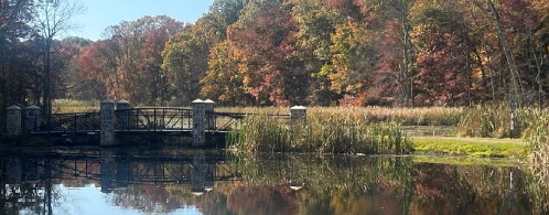 Image of Muriel Hepner Nature Park park in Denville, New Jersey, United States Image of Muriel Hepner Nature Park park in denville, new-jersey, united-states