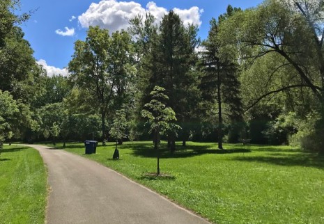 Derrydowns Park Weather