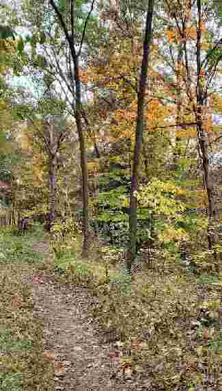 Image of Montour Woods Conservation Area park in Coraopolis, Pennsylvania, United States Image of Montour Woods Conservation Area park in coraopolis, pennsylvania, united-states