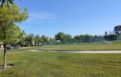 Image of Accinelli Park park in Union City, California, United States Image of Accinelli Park park in union-city, california, united-states