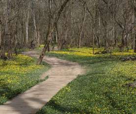 Image of The Narrows Reserve Nature Center park in Xenia, Ohio, United States Image of The Narrows Reserve Nature Center park in xenia, ohio, united-states