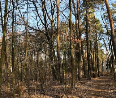Image of Skulpturenpfad Zeuthen park in Zeuthen, Brandenburg, Germany Image of Skulpturenpfad Zeuthen park in zeuthen, brandenburg, germany