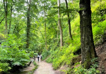 Image of Knöpfelsteiche park in Eisenach, Thuringia, Germany Image of Knöpfelsteiche park in eisenach, thuringia, germany