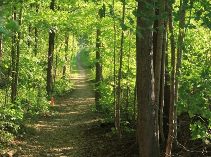 Image of Claireville Conservation Area park in Brampton, Ontario, Canada Image of Claireville Conservation Area park in brampton, ontario, canada