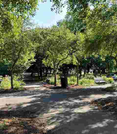 Image of River Island Art Park park in Woonsocket, Rhode Island, United States Image of River Island Art Park park in woonsocket, rhode-island, united-states
