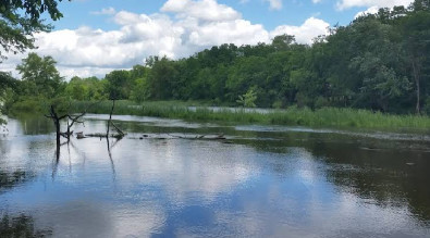Image of Rogue River Nature Trail Phase II (Access at Peppler Park) park in Rockford, Illinois, United States Image of Rogue River Nature Trail Phase II (Access at Peppler Park) park in rockford, illinois, united-states
