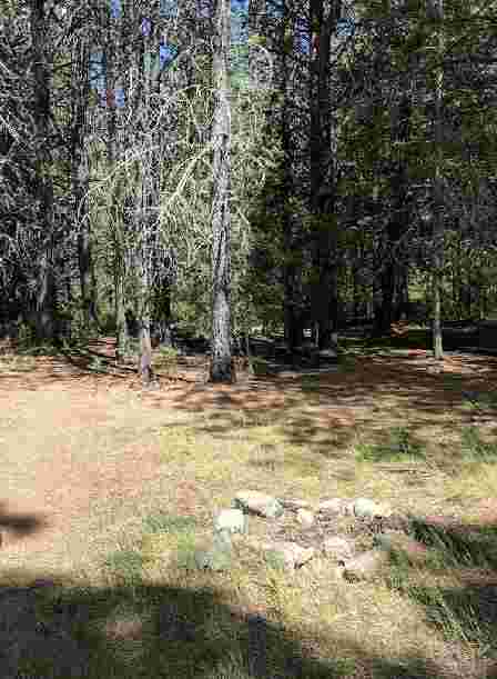 Image of Oden Bay Trail park in Sandpoint, Idaho, United States Image of Oden Bay Trail park in sandpoint, idaho, united-states