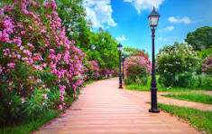 Image of Maple garden park in Jaipur, Rajasthan, India Image of Maple garden park in jaipur, rajasthan, india