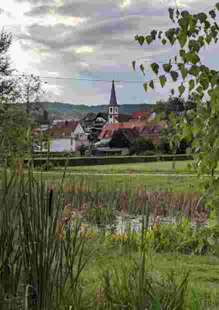 Image of Barfußpfad Ludwigswinkel park in Ludwigswinkel, Rhineland-Palatinate, Germany Image of Barfußpfad Ludwigswinkel park in ludwigswinkel, rhineland-palatinate, germany