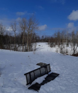 Image of Rotary Park park in Sydney, Nova Scotia, Canada Image of Rotary Park park in sydney, nova-scotia, canada