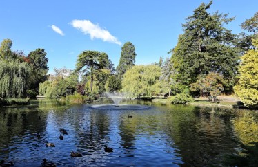 Image of Beacon Hill Park park in Victoria, British Columbia, Canada Image of Beacon Hill Park park in victoria, british-columbia, canada