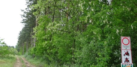 Image of KEFAG Zrt. Bugaci Erdészet park in Bugac, Bacs-Kiskun, Hungary Image of KEFAG Zrt. Bugaci Erdészet park in Bugac, Bacs-Kiskun, Hungary