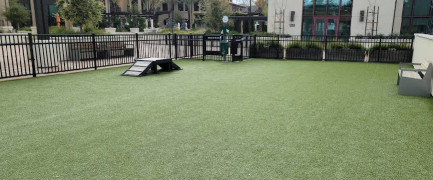 Image of Springline - The Glade (Dog Park) park in Menlo Park, California, United States Image of Springline - The Glade (Dog Park) park in menlo-park, california, united-states