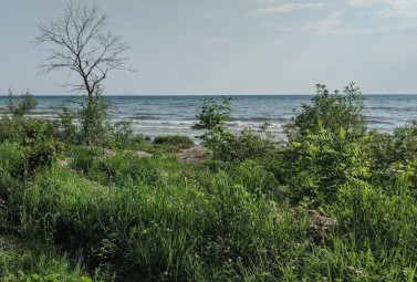 Image of Morgan's Point Conservation Area park in Port Colborne, Ontario, Canada Image of Morgan's Point Conservation Area park in port-colborne, ontario, canada