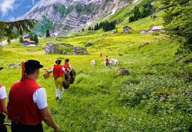 Image of Naturerlebnispark Schwägalp / Säntis park in Hundwil, Appenzell Ausserrhoden, Switzerland Image of Naturerlebnispark Schwägalp / Säntis park in hundwil, appenzell-ausserrhoden, switzerland