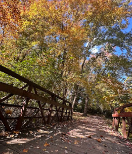 Image of Pimmit Hills Park park in Falls Church, Virginia, United States Image of Pimmit Hills Park park in Falls Church, Virginia, United States