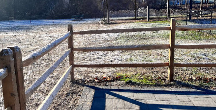 Image of Seymour Dog Park Seymour, CT park in Seymour, Connecticut, United States Image of Seymour Dog Park Seymour, CT park in seymour, connecticut, united-states