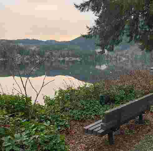Image of Samish Park park in Bellingham, Washington, United States Image of Samish Park park in bellingham, washington, united-states