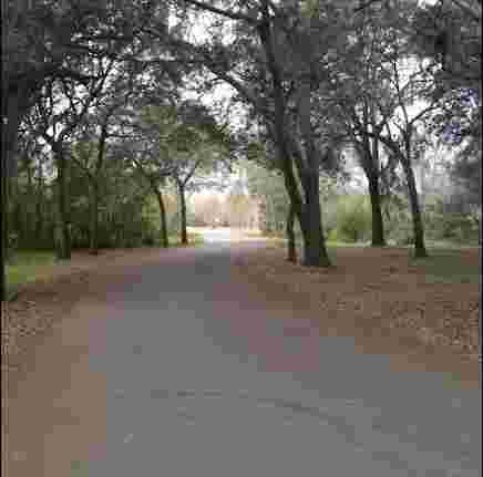 Image of Davis Park park in Brandon, Florida, United States Image of Davis Park park in brandon, florida, united-states