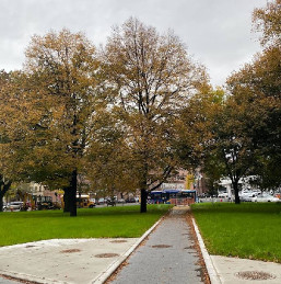 Image of Pelham Parkway park in New York, New York, United States Image of Pelham Parkway park in new-york, new-york, united-states