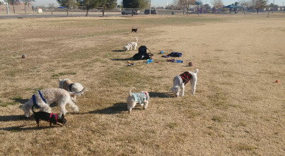 Image of Capistrano Park park in El Paso, Texas, United States Image of Capistrano Park park in el-paso, texas, united-states