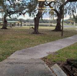 Image of Zephyr Park park in Zephyrhills, Florida, United States Image of Zephyr Park park in zephyrhills, florida, united-states