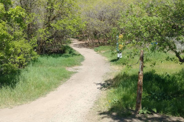 Image of Coyote Hollow Trailhead park in Draper, Utah, United States Image of Coyote Hollow Trailhead park in draper, utah, united-states