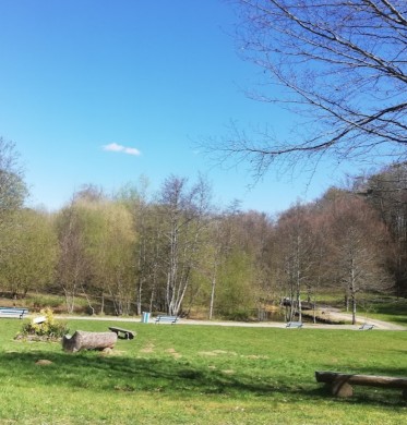 Image of Parc de l'Aurence park in Limoges, Haute-Vienne, France Image of Parc de l'Aurence park in limoges, haute-vienne, france