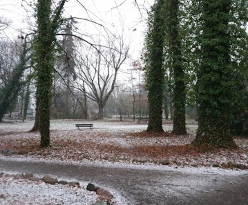 Image of Park Dworski park in Plewiska, Greater Poland Voivodeship, Poland Image of Park Dworski park in plewiska, greater-poland-voivodeship, poland