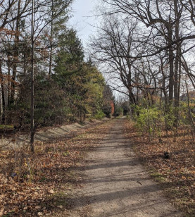 Image of Anndale Green park in Waterloo, Ontario, Canada Image of Anndale Green park in waterloo, ontario, canada