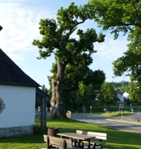 Image of Badangerlinde park in Gößweinstein, Bavaria, Germany Image of Badangerlinde park in gossweinstein, bavaria, germany
