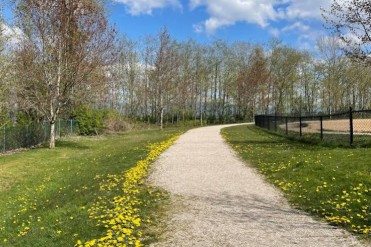 Image of Fraser View Park park in Surrey, British Columbia, Canada Image of Fraser View Park park in surrey, british-columbia, canada