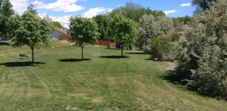 Image of Dan Williams Park park in Fruita, Colorado, United States Image of Dan Williams Park park in fruita, colorado, united-states