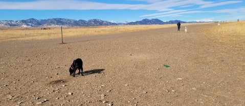 Image of OPEN Space Offleash Dog Area. park in Westminster, California, United States Image of OPEN Space Offleash Dog Area. park in westminster, california, united-states