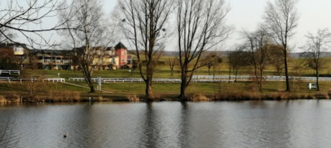 Image of Traumschleife Hochwald Acht park in Kell am See, Rhineland-Palatinate, Germany Image of Traumschleife Hochwald Acht park in kell-am-see, rhineland-palatinate, germany