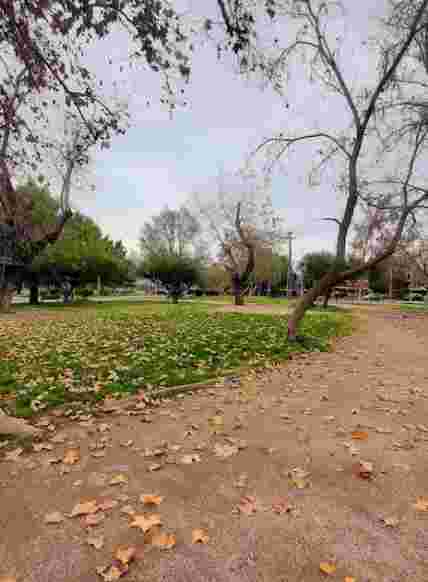 Image of Parque Santiago Bueras park in Santiago, Metropolitana, Chile Image of Parque Santiago Bueras park in santiago, metropolitana, chile